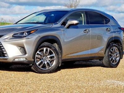 Used Lexus NX300h Luxury Line 197 HP (144 kW) 2018 SUV