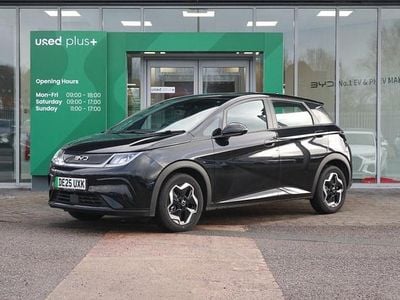 New BYD Dolphin Active 69 kW (95 HP) 2025 Black Hatchback
