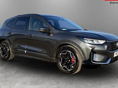 Used Ford Kuga ST-Line X 179 HP (131 kW) 2026 SUV