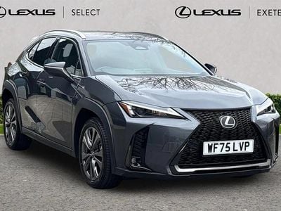 Used Lexus UX 300h Sport Design Packet 195 HP (143 kW) 2025 Grey SUV