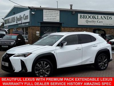 Used Lexus UX Sport Line 184 HP (135 kW) 2020 White SUV