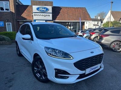 Used Ford Kuga ST-Line 150 HP (110 kW) 2023 White SUV