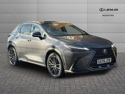 Used Lexus NX450h+ 2025 Grey SUV