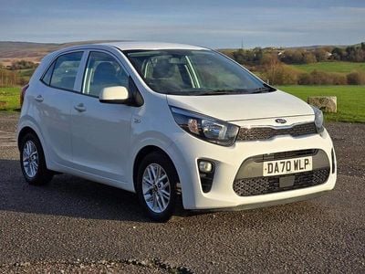 Used Kia Picanto 2021 White Hatchback