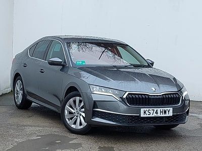 Used Skoda Octavia SE L 150 HP (110 kW) 2024 Grey Hatchback