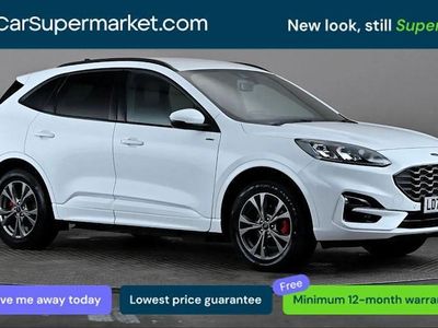 Used Ford Kuga ST-Line 224 HP (164 kW) 2023 White SUV