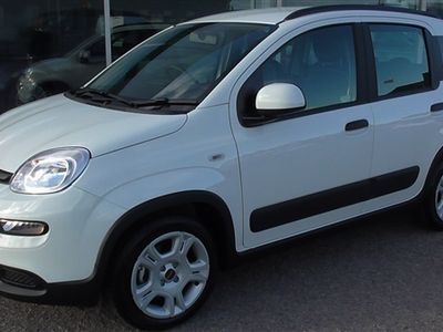 used Fiat Panda a Mild Hybrid