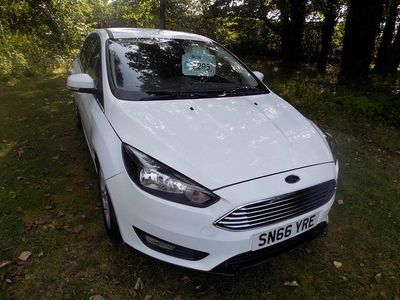 White Used 2016 Ford Focus Zetec Hatchback | £6,995 (Good price)