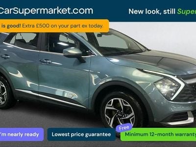 Used Kia Sportage 159 HP (116 kW) 2024 Grey SUV