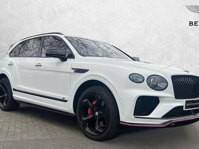 Used Bentley Continental GT 550 HP (404 kW) 2025 White Estate