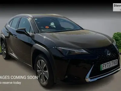Used Lexus UX 300e