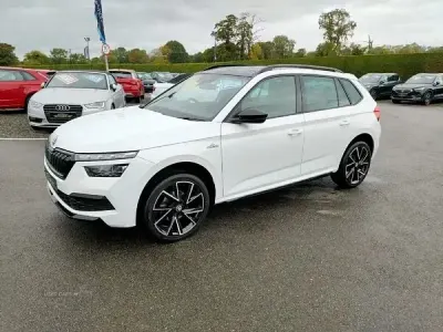 Used Skoda 110 R