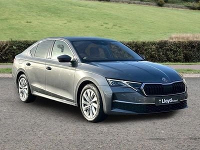 Grey Used 2024 Skoda Octavia First Edition Hatchback | £21,495 (A bit pricey)