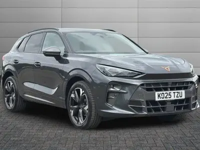Usado Cupra Terramar