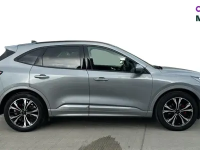Used Ford Kuga ST-Line X 187 HP (137 kW) 2024 Silver SUV