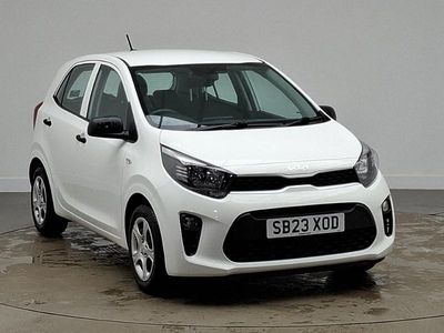 Used Kia Picanto 2023 White Hatchback