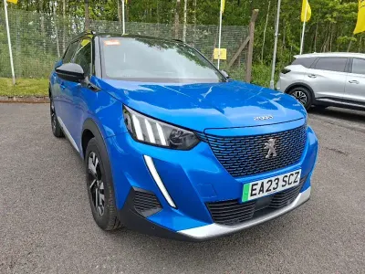 Usado Peugeot e-2008
