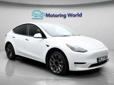Begagnad Tesla Model Y Long Range AWD 378 kW (514 HK) 2023 Vit SUV