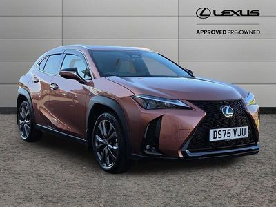 Used Lexus UX Sport Design Packet 199 HP (146 kW) 2025 Bronze SUV