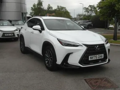 Used Lexus NX450h+