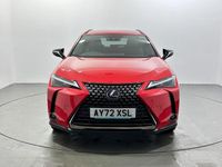 Used Lexus UX 250h 2022 Red SUV