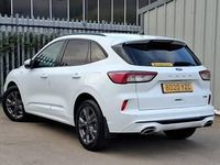 Used Ford Kuga ST-Line 150 HP (110 kW) 2020 White SUV