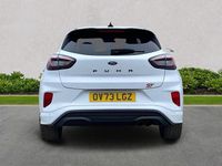 Used Ford Puma ST 200 HP (147 kW) 2023 White SUV
