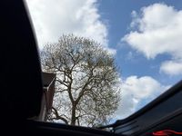 Used Audi Q3 S-Line 150 HP (110 kW) 2023 SUV