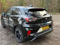 Used Ford Puma Premium 167 HP (122 kW) 2025 Black SUV