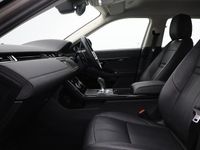 Used Land Rover Range Rover evoque SE Dynamic 249 HP (183 kW) 2023 Other SUV
