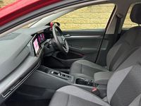 Used VW Golf VIII Active 150 HP (110 kW) 2022 Hatchback