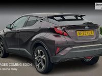 Used Toyota C-HR Design 2023 Mauve/purple SUV