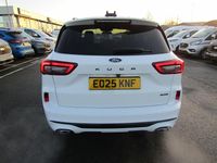 Used Ford Kuga ST-Line X 2025 White SUV