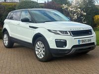 Used Land Rover Range Rover evoque SE 2016 White Estate