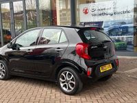 Used Kia Picanto 67 HP (49 kW) 2023 Blue Hatchback