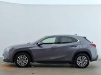 Used Lexus UX 150 kW (204 HP) 2023 Grey SUV