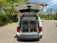 Used VW Caddy Startline 150 HP (110 kW) 2018 White MPV