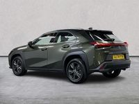 Used Lexus UX 300h 2024 Green SUV