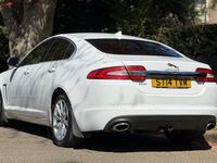 Usado Jaguar XF Premium Luxury 2014 Branco Sedan