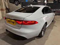 Used Jaguar XF R-Sport 180 HP (132 kW) 2018 White Sedan