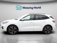 Used Ford Kuga ST-Line X 120 HP (88 kW) 2021 White SUV