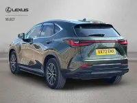 Used Lexus NX450h+ 2023 Green SUV