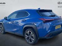 Used Lexus UX 250h 184 HP (135 kW) 2024 SUV