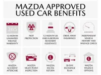 Used Mazda MX5 Inclusive 160 HP (117 kW) 2018 Grey Cabriolet