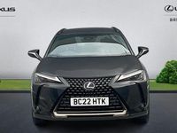 Used Lexus UX 250h 184 HP (135 kW) 2024 SUV