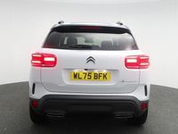New Citroën C5 Aircross 127 HP (93 kW) 2025 White SUV