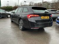 Used Skoda Octavia SportLine 110 HP (80 kW) 2025 Black Estate