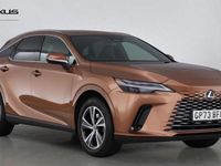 Used Lexus RX350h 2024 Bronze Estate