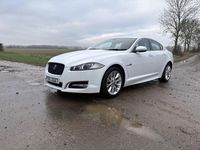 Used Jaguar XF 2012 White Sedan