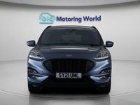 Used Ford Kuga ST-Line 224 HP (164 kW) 2023 SUV